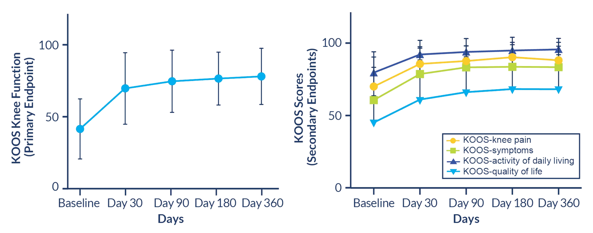 Line chart: KOOS Knee Function primary endpoint score rising from about 42 at baseline to about 78 by Day 360, measured at Day 30, 90, 180, and 360